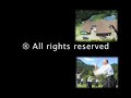 aikido zen  gerhard walter shihan 7  dan / zen   lehrer