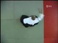AIKIDO-ZEN Gerhard Walter, Shihan, 7. Dan / Zen - Lehrer