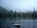 Nootka 2007