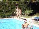 spot Amica