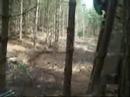 Cannock #2 - PROffessional Idiots Cannock #2 - PROffessional Idiots