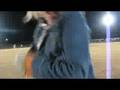 HA Football Game Randomness