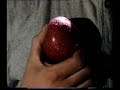 stomp apples
