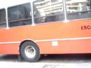 con nico y el boletin
