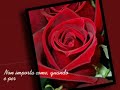 Una rosa per te