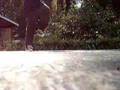 iShad---Roccafery---Battle-vs-IllMatic