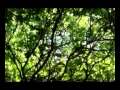 est live - Viaticum
