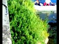arresto di un ubriaco in riva allarno