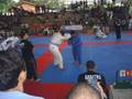 Pro Combat