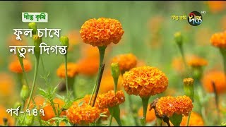 ফুল চাষে নতুন...