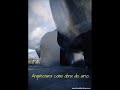 THAU III - Frank Gehry