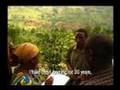videos de Coffee Farmers Organizations (Buginyanya, Bugisu, Uganda)