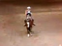 KPS Mint Chip 99' Gelding. 16 Hands. Incentive Fund. 2009 Congress 8th Nov. Am. Equitation 2009 Congress 10th Nov. Am. Western Riding 2008 Reserve Congress Champion Nov. Am. Horsemanship 2008 Finalist Nov. Am. Equitation 2007 3rd Congress Nov. Am. Hunter Under Saddle 2006 Congress Finalist Nov. Am. Hunter Under Saddle. Multiple Congress Finalist in Select Events. Great All Arounder. Has Youth, Amateur and Open points in Western Pleasure, Hunter Under Saddle, Horsemanship, Equitation ...