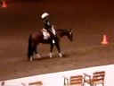 2008 AQHA Congress Reserve Champion Novice Amateur Horsemanship