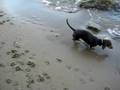 videos de Zoey's Fun Day