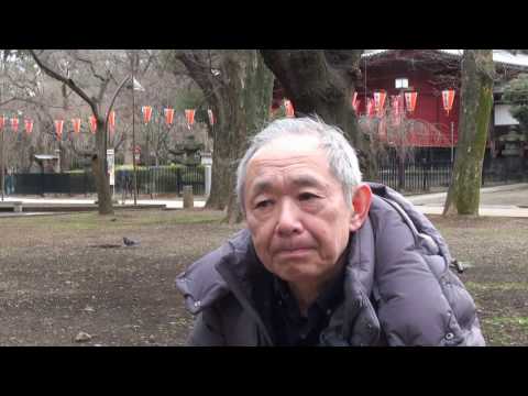 動画