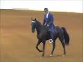 Virginia Horse Center Tennessee Walking Horse Classic