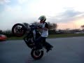 Tzr 50 stunt