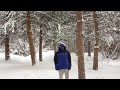 Don't Ski? - Shake a tree.