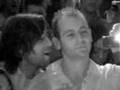 Sunlightsquare Live @ Vibe Bar - Pastime Paradise