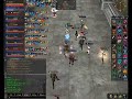 Seal Frenzy on Graveland
