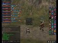 Seal Frenzy on Graveland