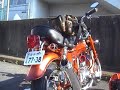 HONDA DAX HONDA DAX