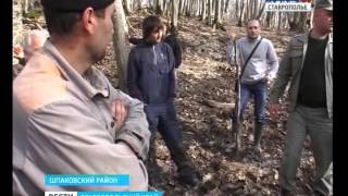 Как остановить браконьерский конвейер