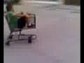 el wey del carrito