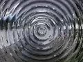 Ruscuk 2003 Bulgaria Deliorman Bulgarien donau