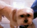 testing testing