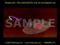 3D Medical Animation: Recombinant Adenoviral Genome