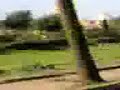 high speed cars in mohammedia(morroco) high speed cars in mohammedia(morroco)