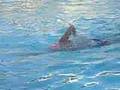 Swim Training Porec