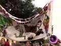 La Bajada de las Peñas 2006
