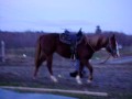 Entrainement Laya 3