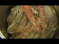 Garganelli con ragout di canocchie - www.cucinabene.it