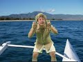 Sátira de la muerte de Steve Irwin, el Cazador de Cococrilos