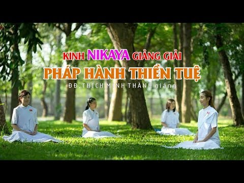 Kinh NIKAYA Giảng Giải - Pháp Hành Thiền Tuệ
