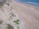 Mom's Spontaneous Video Snips