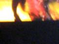 videos de Chris Brown-Odyssey Arena 6.1.09