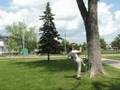 Parkour and Free Running