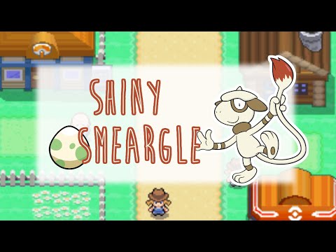how to train smeargle