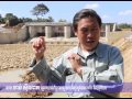 Click to View : សំណង់កាត់ស្ទឹងបវេល ស្ថិតក្នុងស្រុកបវេល ខេត្តបាត់ដំបង