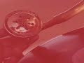 official videoclip of the track una flor y dos corazones, 
performed by medialuna tango project -2008