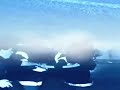 official videoclip of the track una flor y dos corazones, 
performed by medialuna tango project -2008