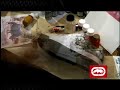 Unltd by Marc Ecko - Designer Shoes