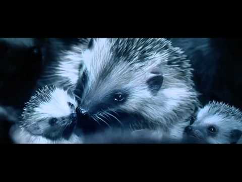 Enquête sur la pub auto 2012 : tous les résultats! 0 Enquête sur la pub auto 2012 : tous les résultats!