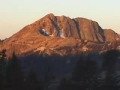 plate tectonics