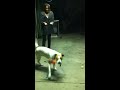 Click here to watch this video tug with the bull arab